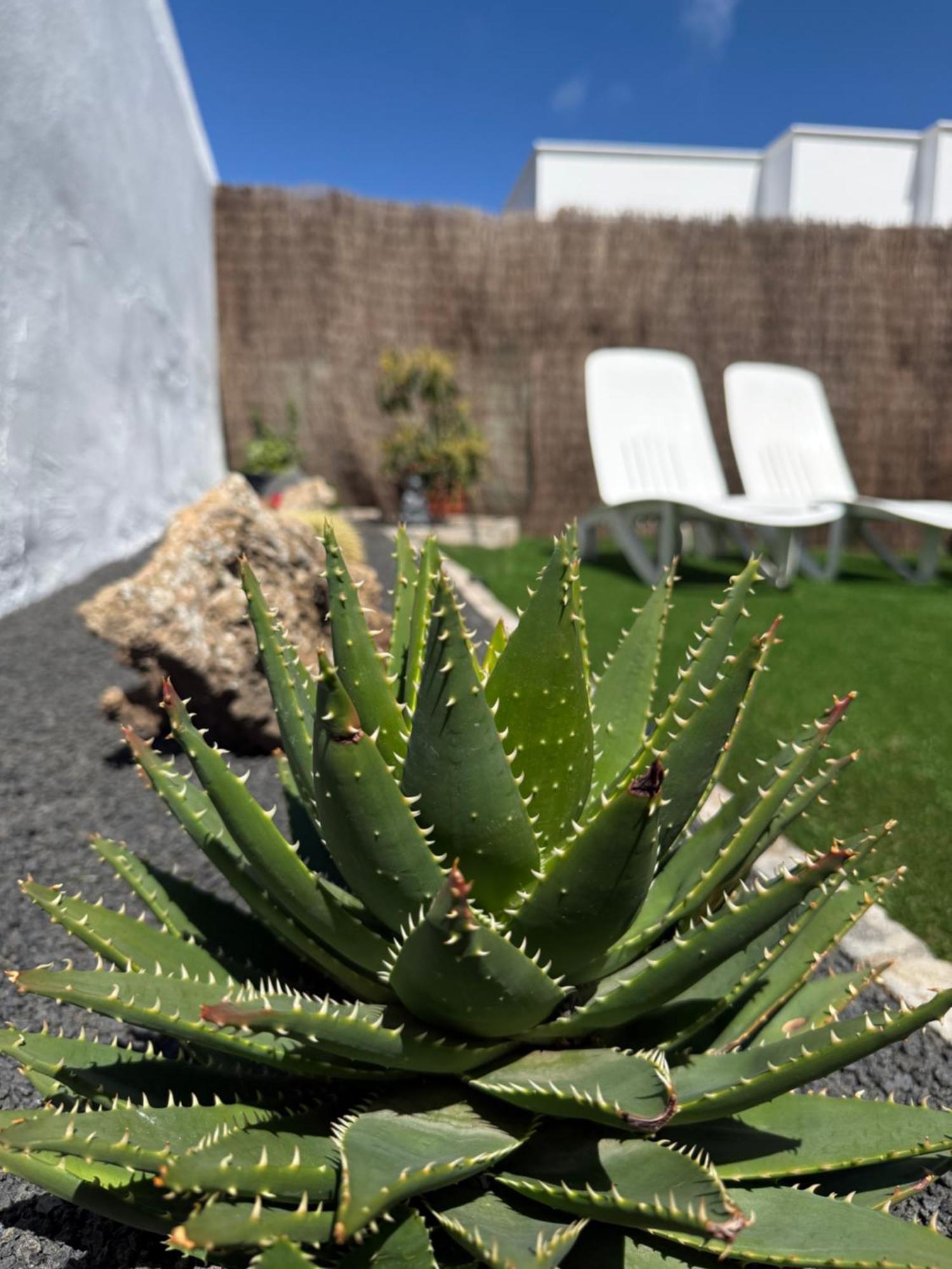 Appartamento Casa Cira La Costa Esterno foto